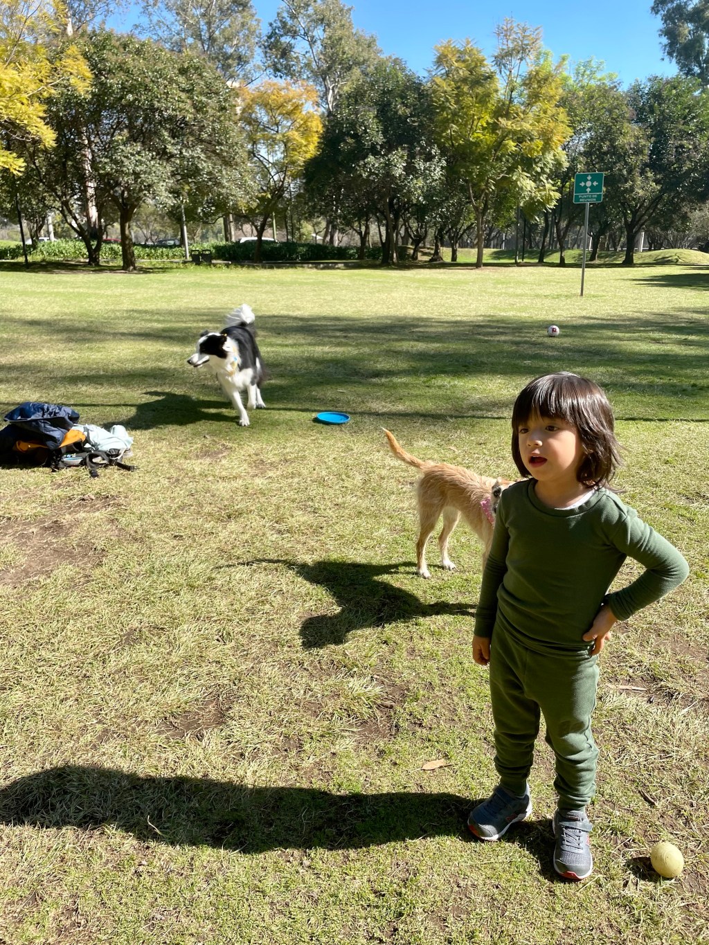 Cinco maneras de reforzar el sistema inmunológico de tus&nbsp;hijos