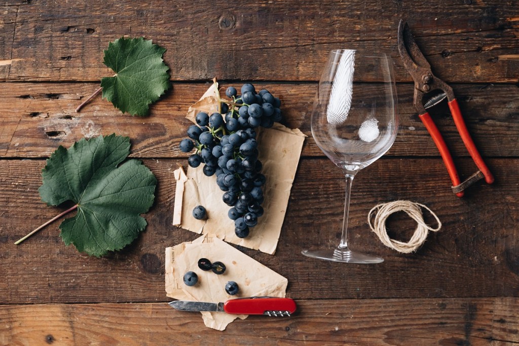 5 Razones por las que los papás amantes del vino no deben perderse el Día Mundial del&nbsp;Malbec